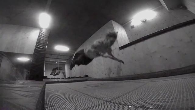 Igor & Stepa - LvL Up │ FRNS