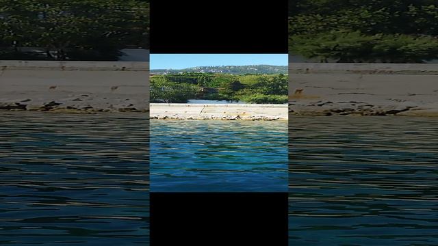 VID_2024 08 15 #Крым смотреть онлайн