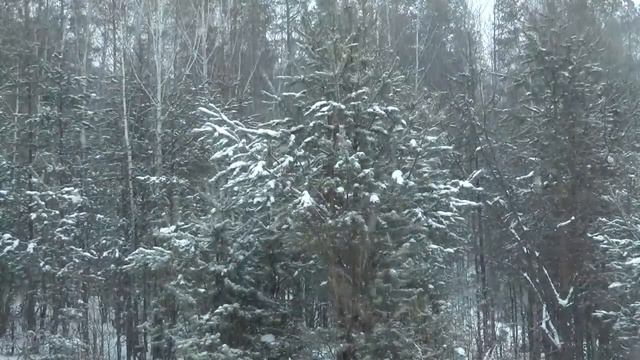 Михаил Литвяк - Зимний лес (Оригинал) смотреть онлайн