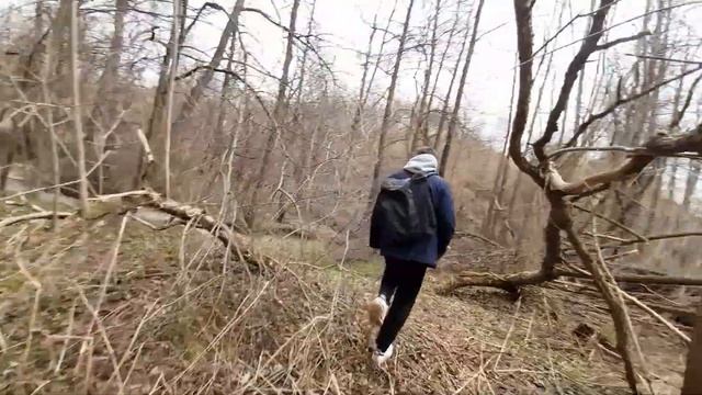 Весенний лес с Вялым и Типаклоном смотреть онлайн