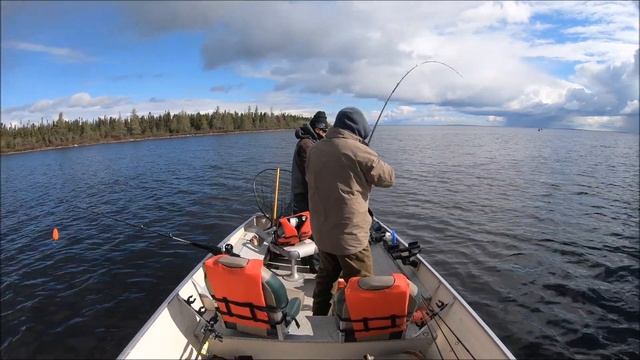 Ice Out lake Trout (Kasba lake lodge)- Mig Sig Outdoors смотреть онлайн