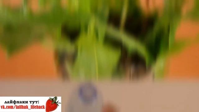 Новые #лайфхаки с бутылками СМОТРИТЕ смотреть онлайн