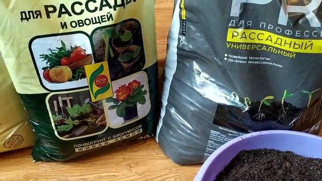 Самый лучший грунт для рассады! Мой рейтинг. смотреть онлайн