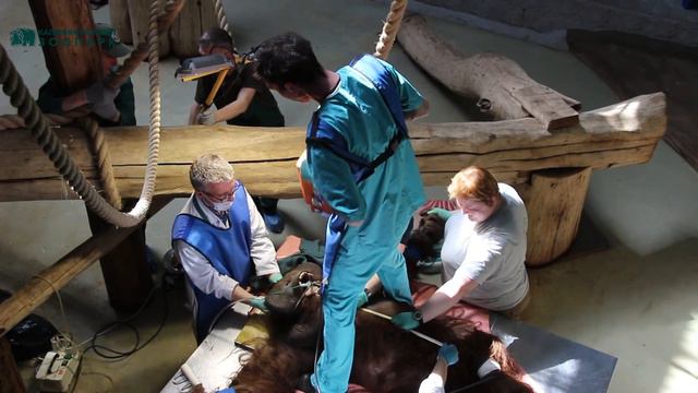 Обследование Бенджамина смотреть онлайн