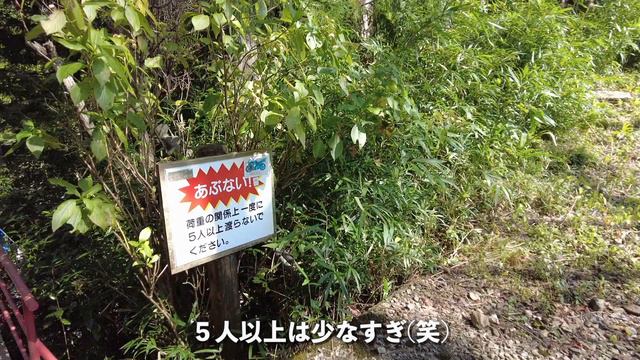 【岐阜観光_郡上】超おすすめ！大自然の中をE-Bikeで巡る絶景&絶品ツアーを紹介！長良川｜モネの池｜鮎ランチ｜観光ヤナ｜自然カフェ смотреть онлайн