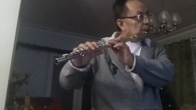 may it be lord of the rings (flute cover). смотреть онлайн