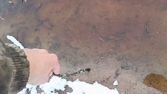 Будни Олега. Новости с реки. Дорогой патрон бьёт по карману. Снежок. Грибники с высшим образованием смотреть онлайн