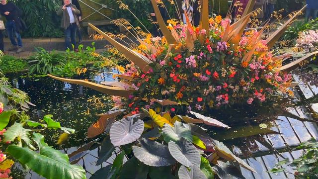 Kew ORCHID Festival 2022: Virtual Tour! смотреть онлайн