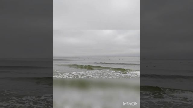 Балтийское море #melvira_ловлюмомент #балтийскоеморе #шумморя #чайки #волны #море смотреть онлайн