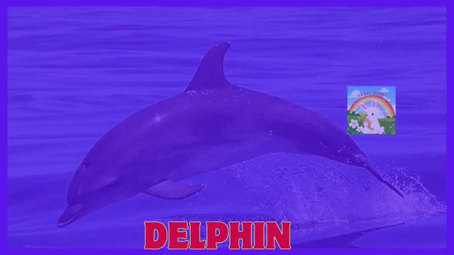 kids vocabulary - sea animals - learn English for kids - English educational video - HAPPY BUNNY смотреть онлайн