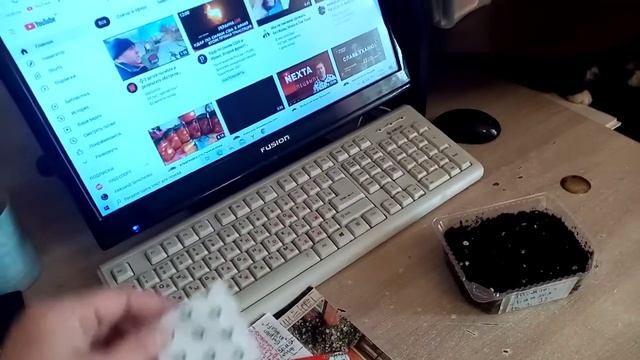 Посеяла на Рассаду Томаты "БАТЯНЯ" 13 марта 2022г. для Теплицы и Открытого Грунта. смотреть онлайн