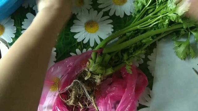 Ремонтные Факторы