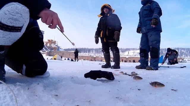 Ловля окуня на шарманку (Павловская ГЭС) смотреть онлайн