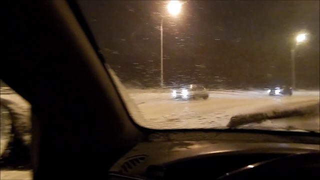 В Екатеринбурге появился свой "Хатико" смотреть онлайн