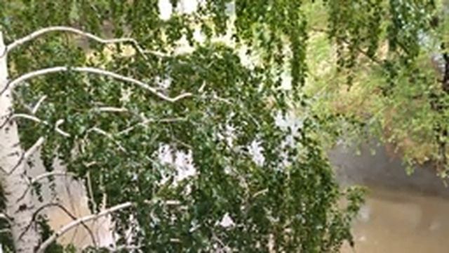 8 часов ШУМ ДОЖДЯ для сна, медитации, релаксации и обучения. смотреть онлайн