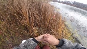 Оснастка для ловли на живца на спиннинг.