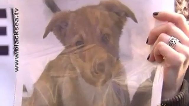 Суд над Ведулой смотреть онлайн