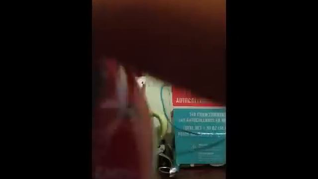 "Angry Birds" Merchandise - King Pig Flash Drive USB Key смотреть онлайн