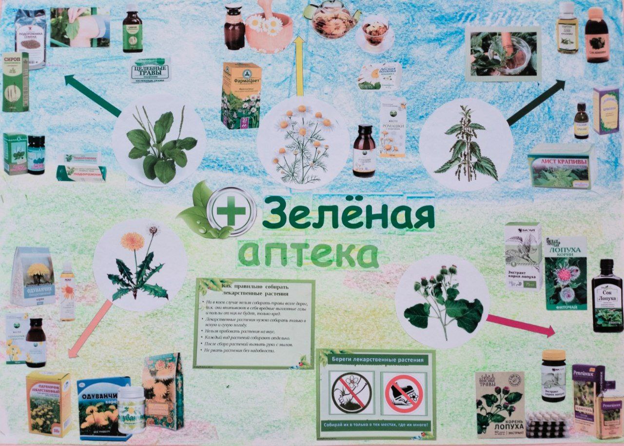 ЗЕЛЕНАЯ АПТЕКА смотреть онлайн