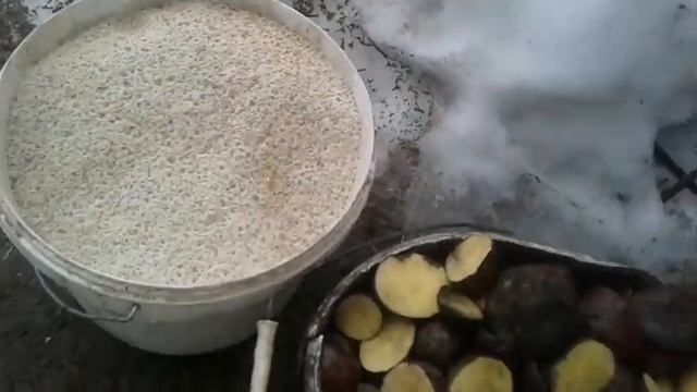 ОБЗОР КОРМЛЕНИЯ БЫКОВ И ТЕЛЯТ смотреть онлайн