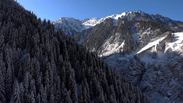 Алматинский заповедник смотреть онлайн