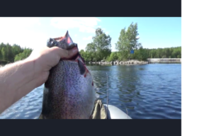 РЫБАЛКА НА КРАСНУЮ РЫБУ _ ЛОВЛЯ ФОРЕЛИ НА СПИННИНГ смотреть онлайн