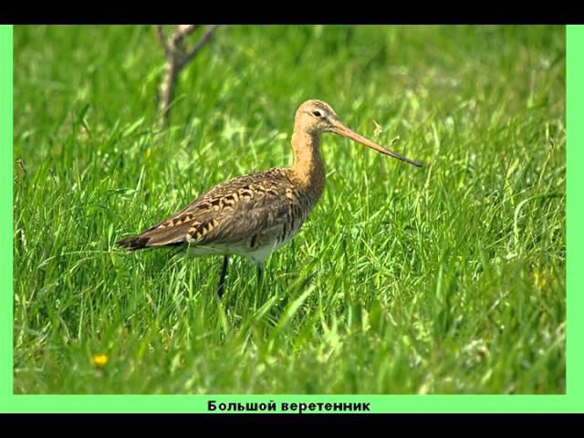 заповедные места Воскресенского края