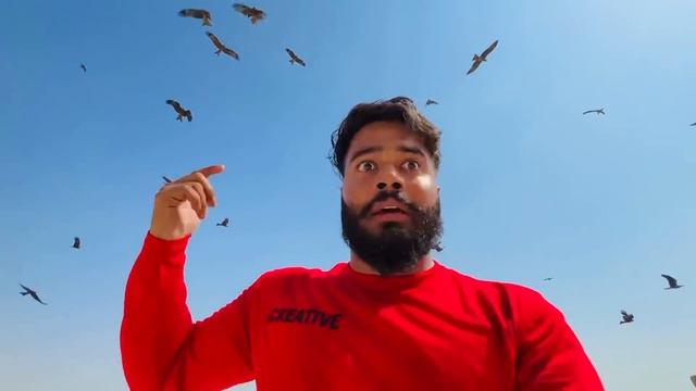 Ghar per bahut sari eagle na attack Kar Diya ? part 2 | Syed fahad | the fun fin | смотреть онлайн