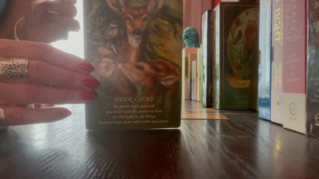 Today’s tarot is from my Spirit of the Animals Oracle deck ?? смотреть онлайн