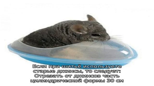 Гамак для шиншиллы своими руками смотреть онлайн