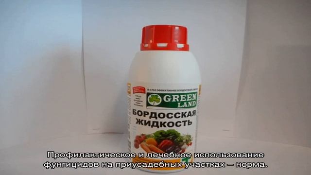 Болезни вишни и борьба с ними: фото и описание