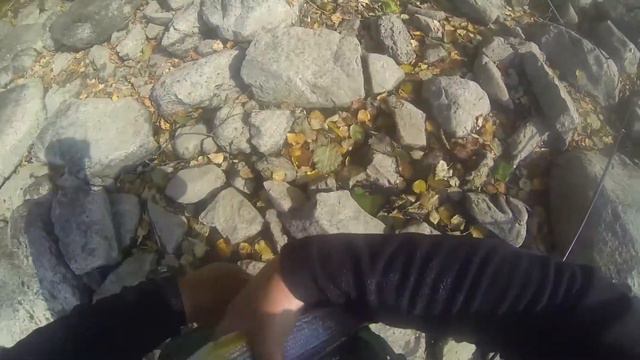 Хуту 2013. Рыбалка сплав. GoPro 26.09. - 04.10. Часть 4. смотреть онлайн