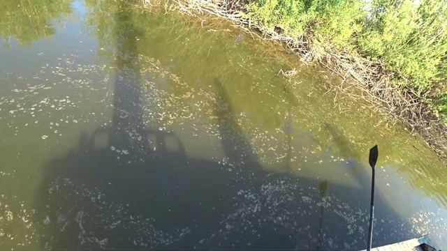 Рыбалка на сазана Рыбалка 2023 Рыбалка на кастинговую сеть американку или хапуги Рыбалка на поплаво смотреть онлайн