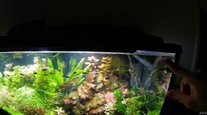 Автоматическая система  подмена воды в аквариуме