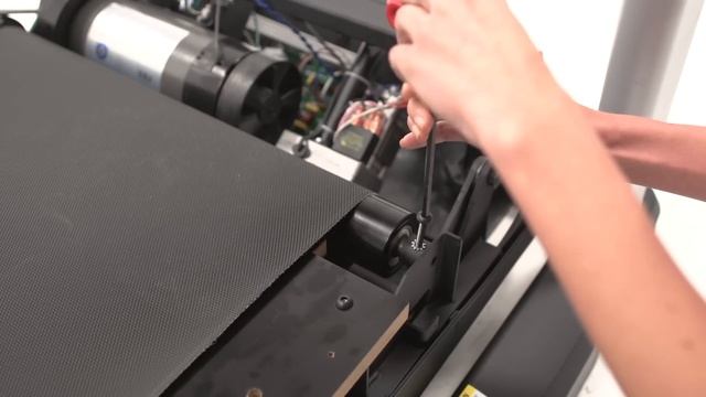 Walking Belt Replacement