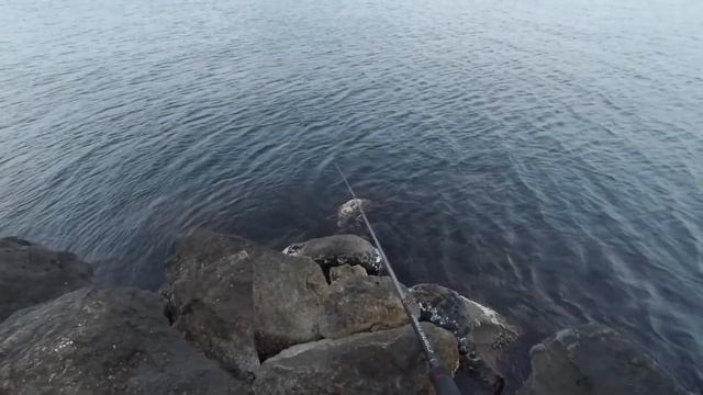 Рыбалка синнингом с берега, Чёрное море, блесна, ласкирь. смотреть онлайн