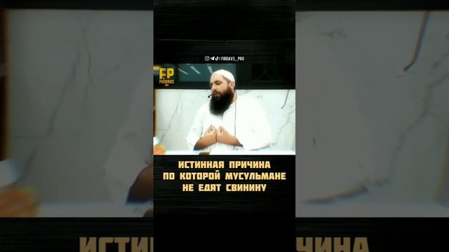 ИСТИННАЯ ПРИЧИНА ПОЧЕМУ МУСУЛЬМАНЕ НЕ ЕДЯТ СВИНИНУ.... СВИНИНА - ХАРАМ.. смотреть онлайн