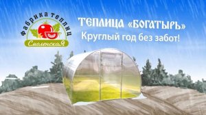 Теплица «Богатырь» от Смоленской фабрики теплиц