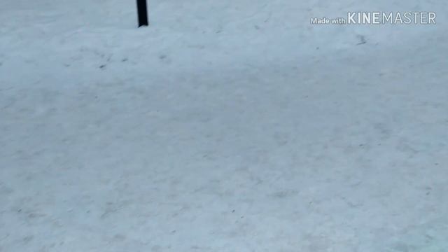 Настоящая пони, парк, коньки, котята и страшилки смотреть онлайн