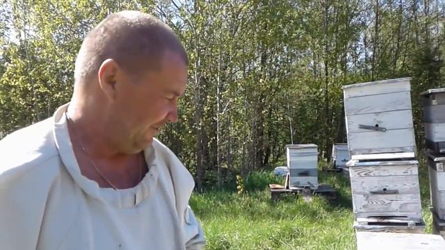 Отводки смотреть онлайн