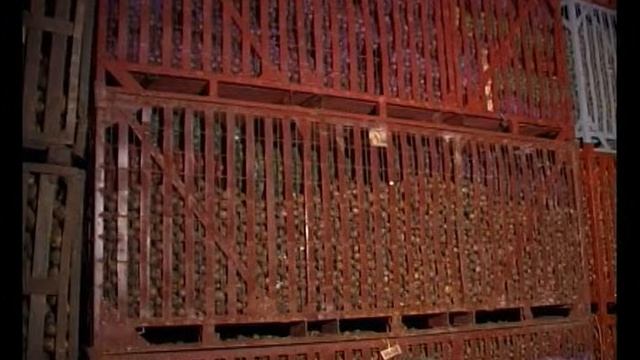 сюжет 'Сад и огород' (2009-03) ч2 смотреть онлайн