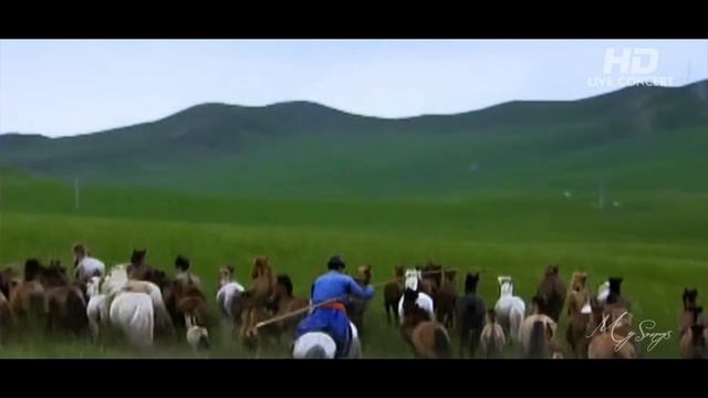 Amarhuu Dugui heetei naadam смотреть онлайн