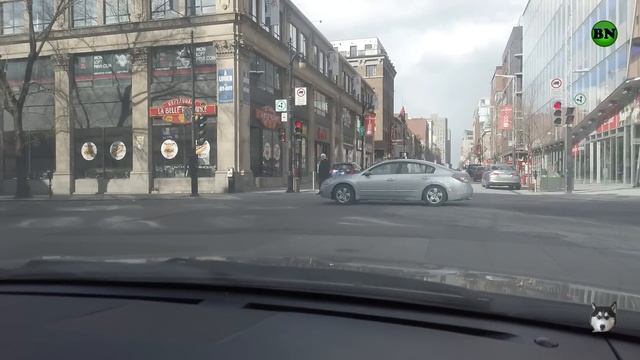 Это надо видеть до иммиграции в Монреаль ( часть 3 ) / Блогер и Хаски / Блогер БН смотреть онлайн