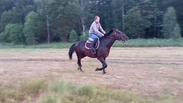Карачаевская порода лошади/Мои любимые❤ смотреть онлайн