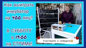 Инкубатор Владимира Коробкова после 4 лет эксплуатации