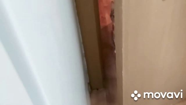 ?Маленький забег по магазинам, на остатки зарплаты?