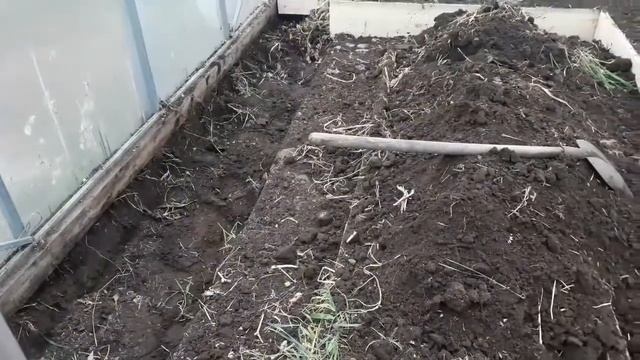 Теплые грядки в теплице или как сделать тёплую грядку своими руками смотреть онлайн