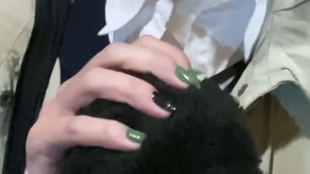 Васаби пати и ни одного тори фокса(( влог с аниме пати Воронежа смотреть онлайн