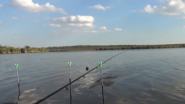 Рыбалка на фидер осенью в Краснодарском Крае смотреть онлайн