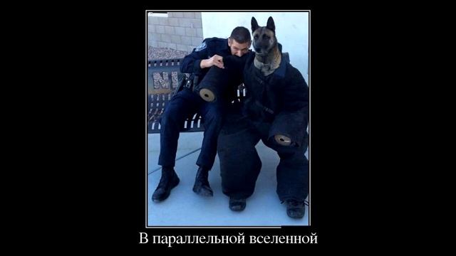 демотиваторы, демотиваторы смешные, демотиваторы про смотреть онлайн